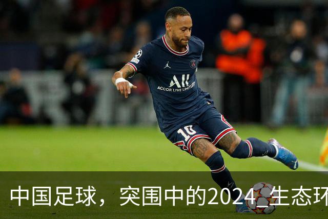 中国足球，突围中的2024 生态环境将实现好转